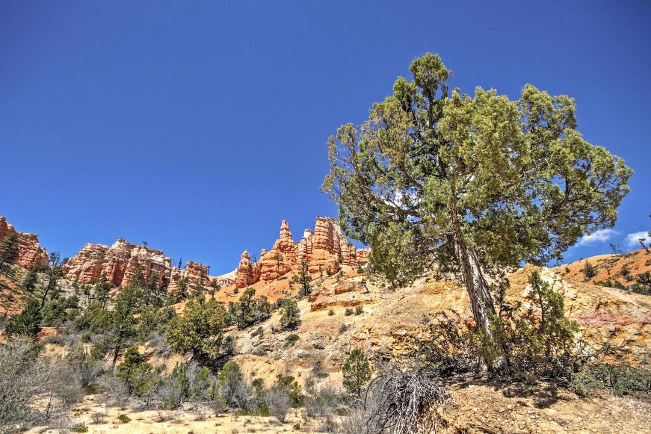 Bryce Canyon Area House With Mountain Views! Tropic Luaran gambar